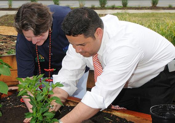 Agriculture Deputy Secretary Kathleen Merrigan assists New Mexico Congressman (3rd District) Ben Ray Luján plant chili peppers at the New Mexico Chile Pepper Fiesta held on Wednesday, June 9, 2010 on the east lawn of the Whitten Building at the USDA People’s Garden. 