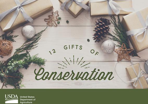 12 Gifts of Conservation graphic