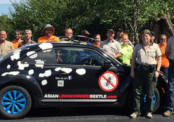 Staff from the ALB Ohio Eradication Program with the wrapped Volkswagen beetle