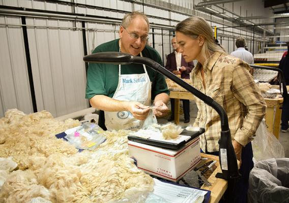 Mark Schalk explains the process for sorting Alpaca hair that will be used to make blanket yarn. Schalk is the owner of Two Branch Ranch, an Alpaca farm in Saline, Mich. He brought the fiber to Springfield, Ky., for sorting and cleaning.