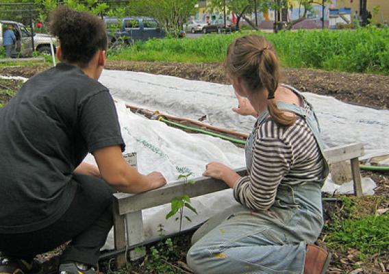 Workers on East New York Farms surveying crop beds and garden layout