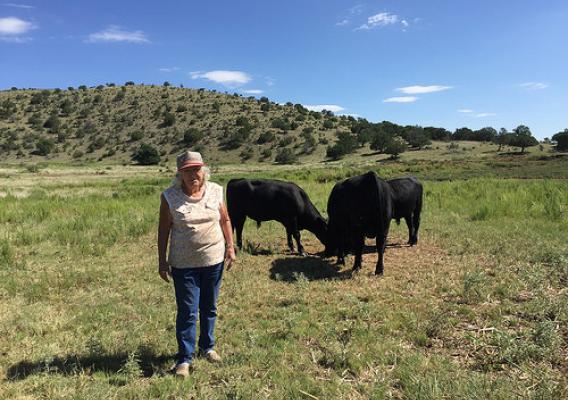 Marjorie Fleming with her bulls behind her