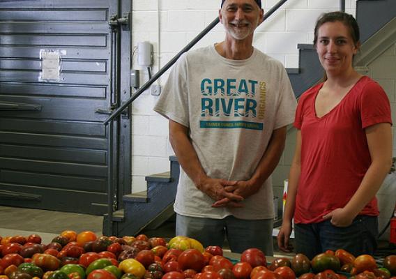 Tomatoes inspected by Great River Organics board member Michael Jones and General Manager Charlotte Graham