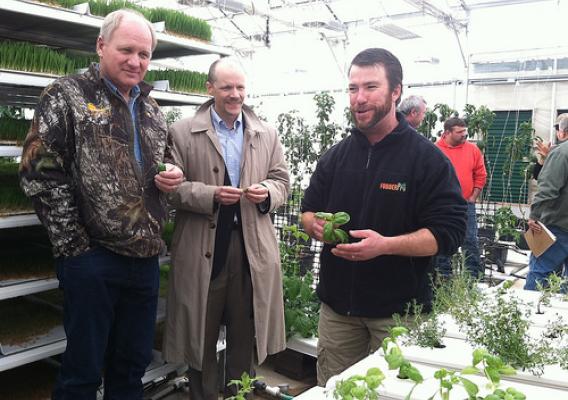 FarmTek greenhouse manager Sam Schroyer describes how basil is raised hydroponically to Deputy Under Secretary O’Brien and John Whitaker (left), USDA Farm Service Agency Executive Director in Iowa.