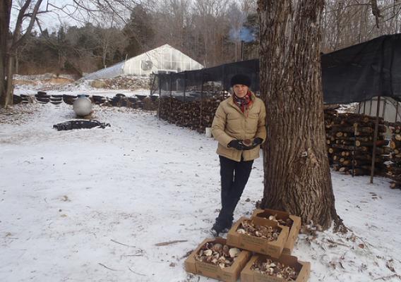 Nicola Macpherson, agroforester, with her mushrooms and a lot more on her Missouri forestry farm.