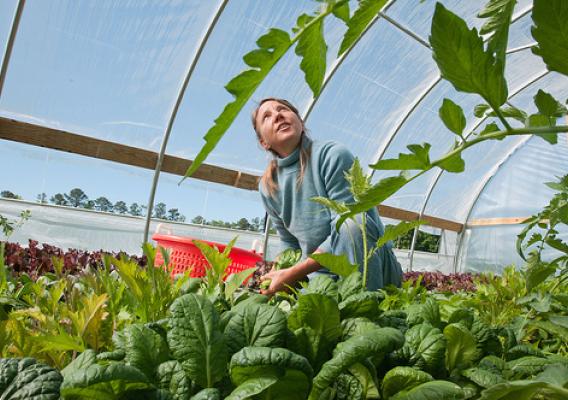 Amy's Organic Garden in Charles City, VA.  Organic certification ensures the integrity of organic products around the world, and this initiative will make sure the process is accessible, attainable and affordable for all.