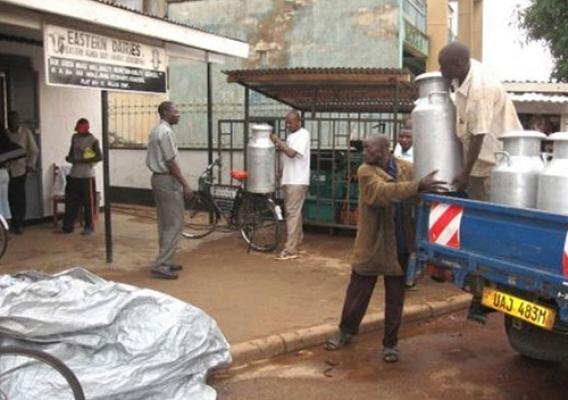 Uganda Farmers milk center