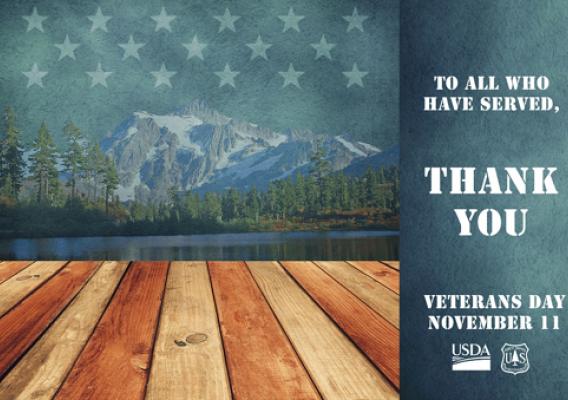 To All Who Have Served, Thank You. Veterans Day. November 11. (Illustration by Mary Jane Senter/ThinkStock and U.S. Forest Service photos)