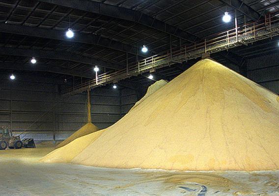 ARS scientists have developed a nearly 100 percent biodegradable kitty litter made from dried distiller's grains, left over from corn-ethanol production.