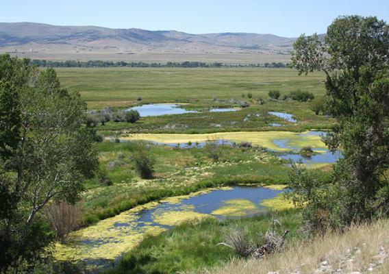 NRCS and other partners are working to restore the wetlands located at the headwaters of O’Dell Creek in Montana. NRCS photo.