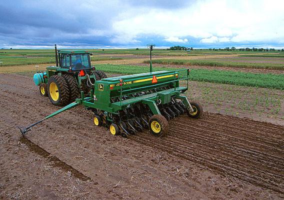 Planting foxtail millet, a summer annual forage with low water needs, helps conserve water for subsequent crops. Photo by Scott Bauer.