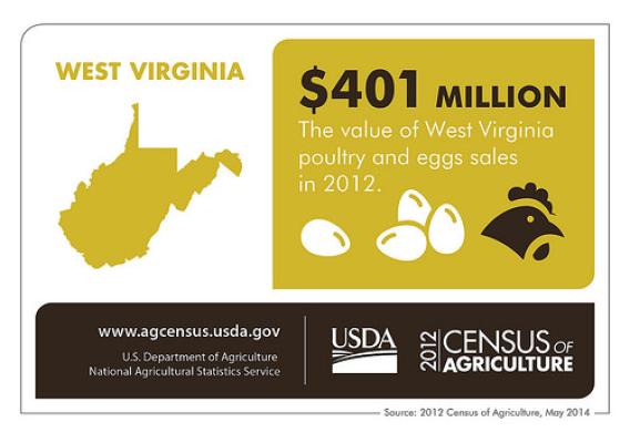 Farming has always been a backbone of West Virginia. Check back next Thursday for another spotlight from the 2012 Census of Agriculture and the National Agricultural Statistics Service.
