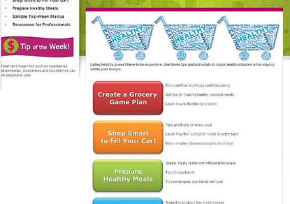 Healthy Eating on a Budget Landing Page
