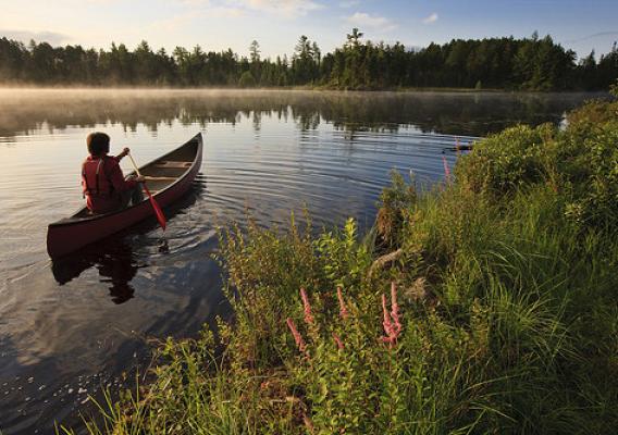 A man canoeing on Little Bear Brook Pond