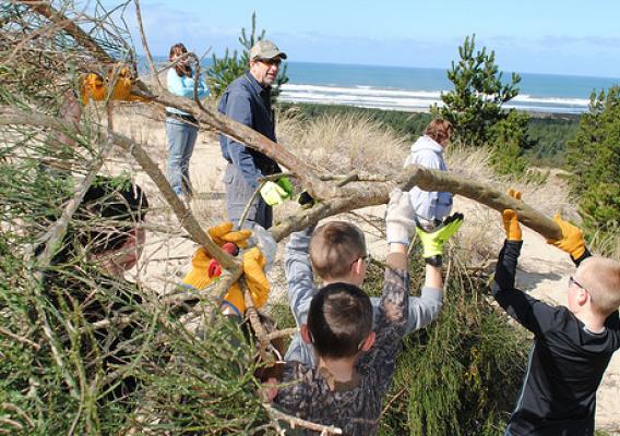Siuslaw Stream Team Leader Jim Grano looks on as students remove Scotch Broom from the dunes. (U.S. Forest Service)