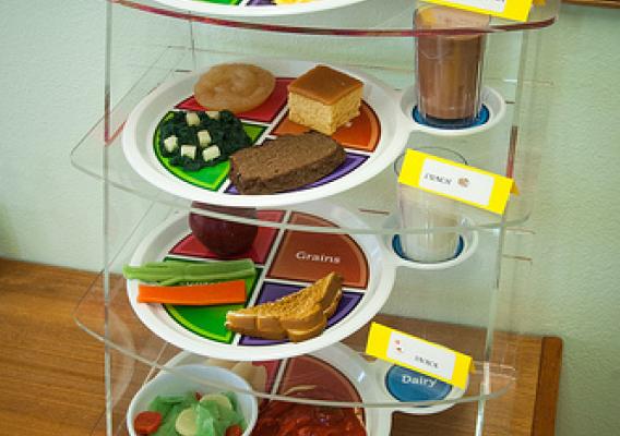 These “My Plate” models show how FDPIR foods fit into recommended food groups.