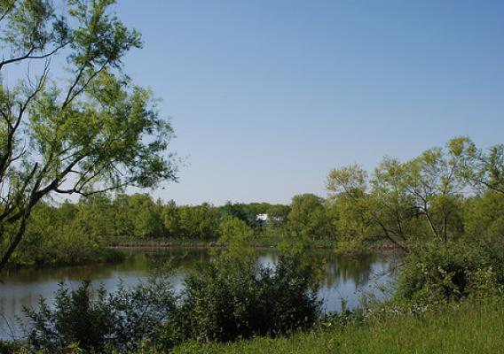 Gail Dunlap's restored wetland