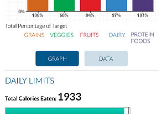 At-a-glance view of dietary intake provided by SuperTracker’s Food Tracker feature