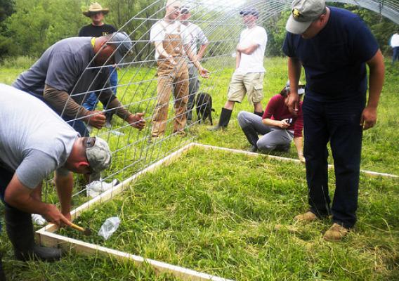 Veterans participating in building a chicken hoop house