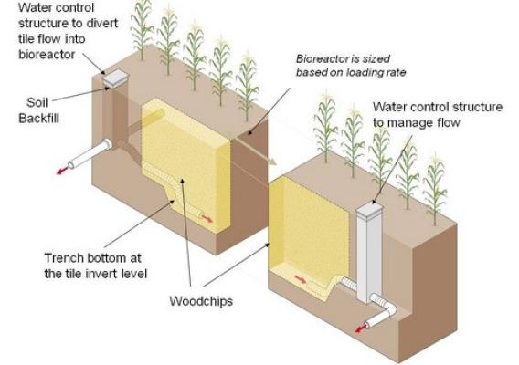 Illustration of how a denitrifying bioreactor fits in with drainage water management (DWM). Image by John Peterson.