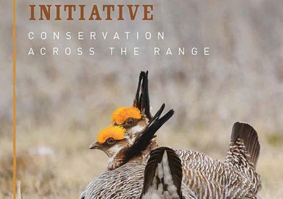 Lesser Prairie-Chicken Initiative: Conservation across the Range cover