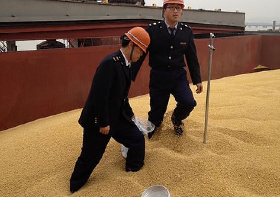People's Republic of China General Administration of Quality Supervision, Inspection and Quarantine (AQSIQ) officials taking samples of U.S. soybeans at the Port of Dalian