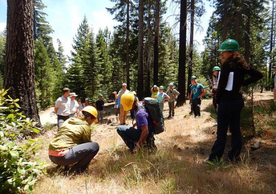 Researchers at the Forest Service’s Pacific Southwest Research Station hosting a two-day field workshop