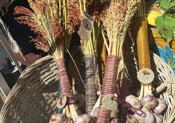 El Bosque Garlic Farms' hand-tied garlic
