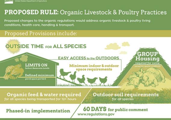 Proposed Rule Organic Livestock and Poultry Practices infographic