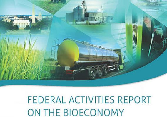 Federal Activities Report on the Bioeconomy page cover
