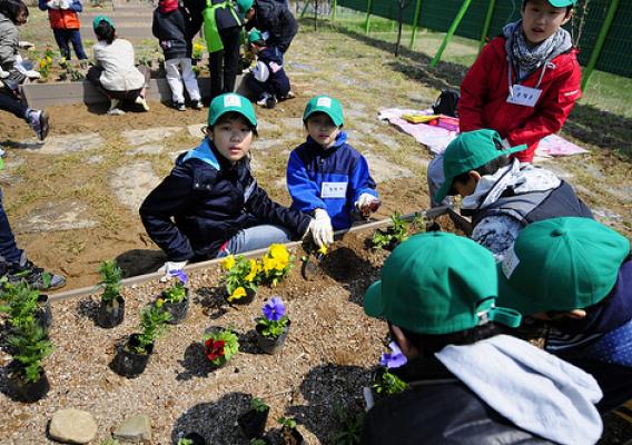 Junior Master Growers-Korea plant flowers in the People’s Garden at the Gwacheon National Science Museum.