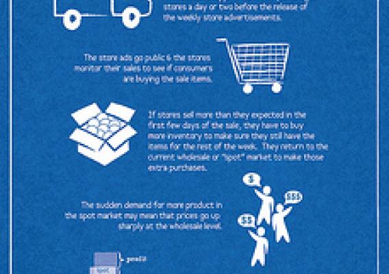 An illustrated guide to spot markets, with insight into how store holiday ads can affect the sale of featured items and how retail stores meet consumer demand. Click to enlarge.