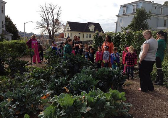 Kindergarteners, family members, and teachers from Grafton Street School in Worcester, MA touring the REC’s Organic Farm with Mass. Farm to School Project’s Kindergarten Initiative program.