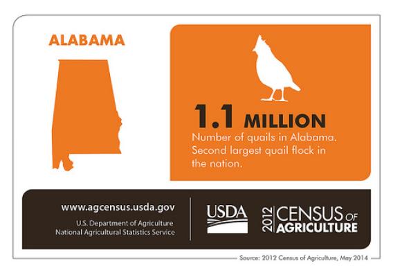 Who knew? Now you do! Check back next Thursday for another state spotlight from the 2012 Census of Agriculture and the National Agricultural Statistics Service.