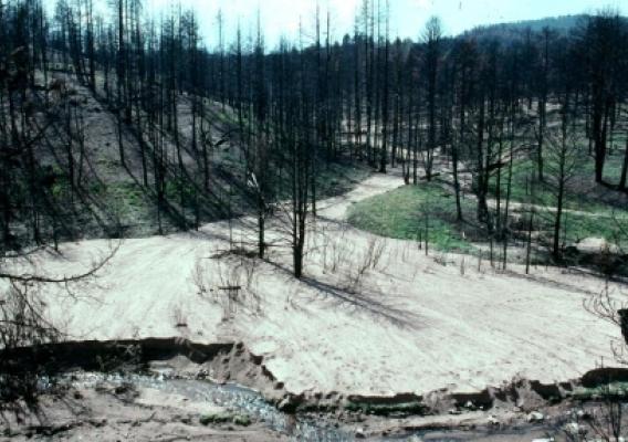 Heavy rains after a wildfire caused this heavy sediment deposit (Photo Credit: R. H. Meade, U.S. Geological Survey) 