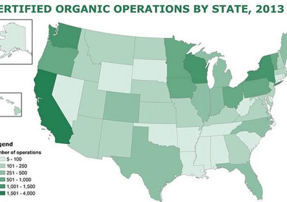 Across the U.S., there was about 4 percent increase in the number of certified organic operations in the last year, and nearly a 245 percent increase since 2002.