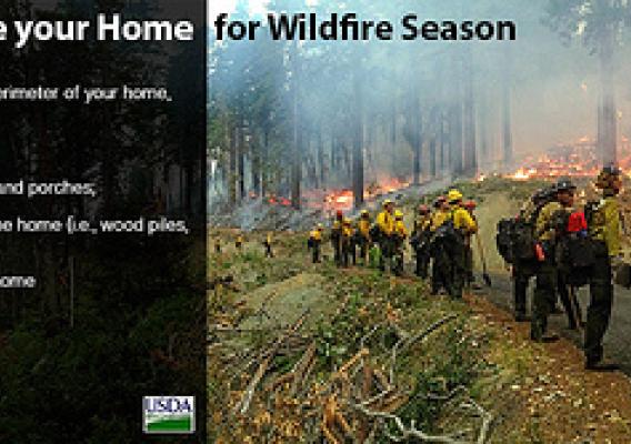 Prepare your home and family for wildfire season. 