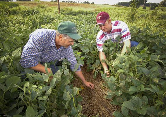 Small and medium-sized farmers could see help in growing their operation thanks to programs that will be developed at 10 universities that were funded by USDA’s National Institute of Food and Agriculture this week. 