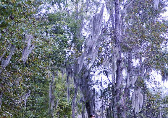 Kelly McPherson walks the Spanish moss draped trail, where hikers view a variety of wildlife throughout the year. NRCS photo.