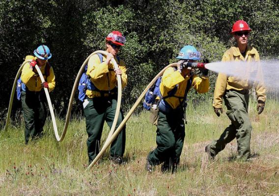 California Conservation Corps Veterans Green Jobs members receiving training and hands-on work experience in forestry and firefighting skills. (CCC photo)