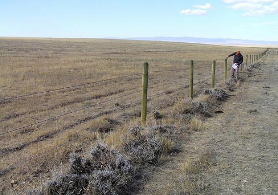 Ryan Murray, NRCS rangeland management specialist, inspects a wildlife-friendly fence installed on John Nunn’s ranch in Albany County, Wyoming.