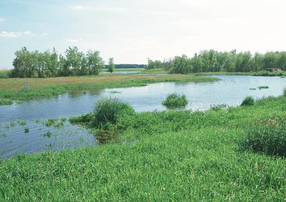 Wetland sites like this one provide  outdoor recreation opportunities including bird watching and hunting. NRCS photo.
