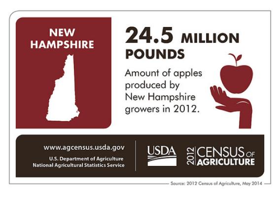 It may be The Granite State, but apple trees find room to grow in New Hampshire. Check back next week as we look at another state and the results of the 2012 Census of Agriculture.