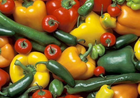 Peppers are part of the Solanaceae family, which includes potato, tomato, and eggplant.