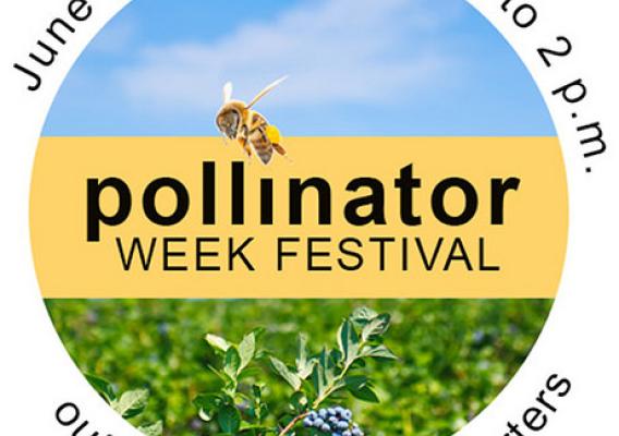 Pollinator Week Festival. June 20, 2014. 10 am – 2pm outside USDA headquarters.