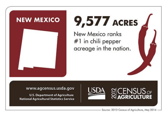 Just in time for football season and fall – New Mexico leads the nation in chili pepper acreage.  Check back next Thursday for more fun facts about another state from the 2012 Census of Agriculture.  