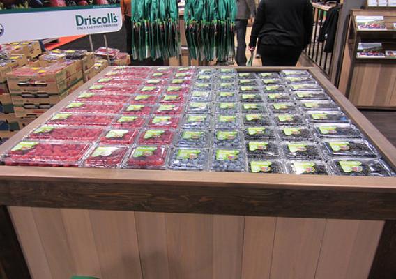 Driscoll’s berries being sold in a store (Photograph courtesy of Driscoll’s. Copyright 2014. All rights reserved.)