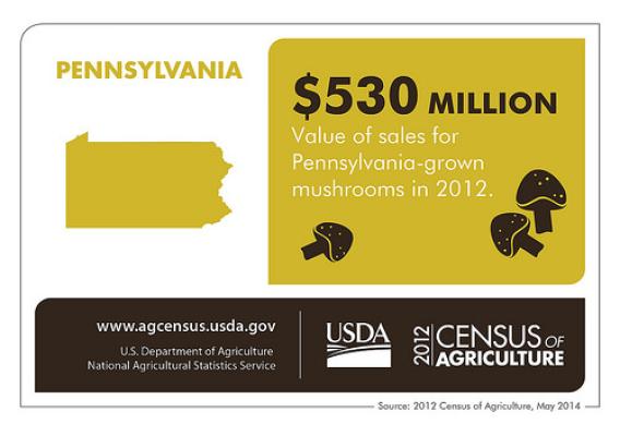 Half-a-billion dollars’ worth of mushrooms would cover a lot of pizzas, Pennsylvania!  Check back next Thursday to learn more about another state from the 2012 Census of Agriculture.