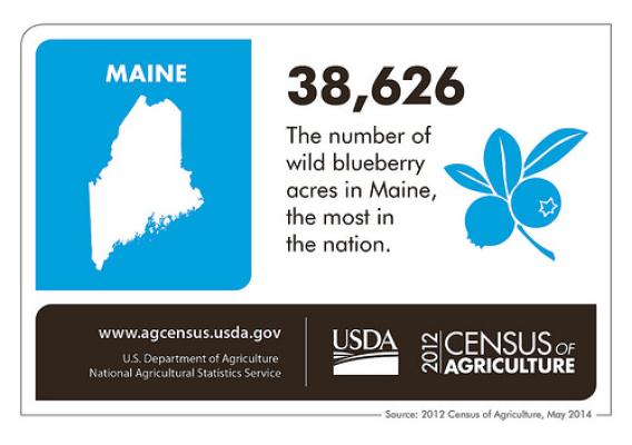 Maine's agriculture and farm-related demographics are growing and diversifying each year. Check back next Thursday to learn more about the 2012 Census of Agriculture results as we highlight another state.