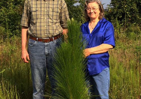 The Allens proudly stand next to one of their tall Longleaf pine seedlings on their Hawkinsville, Georgia farm. Courtesy: Michelle Stone